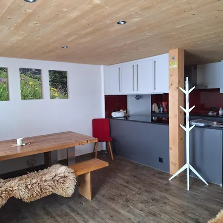 Dem Himmel Ein Stuck Naeher Apartament Thalkirch